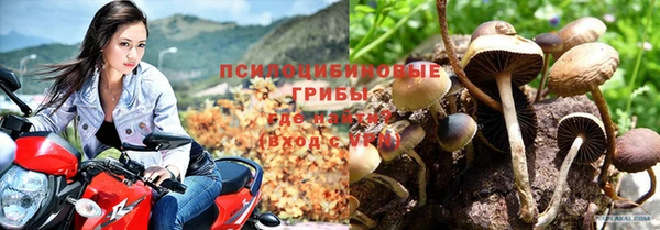 дживик Гусь-Хрустальный