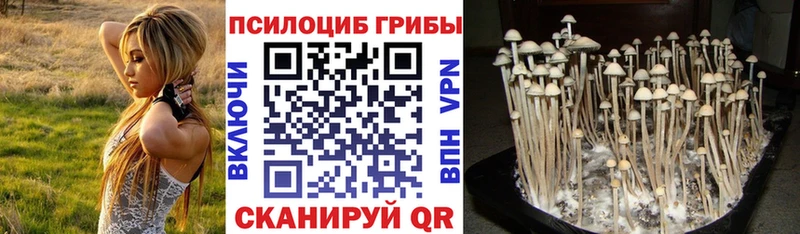 Галлюциногенные грибы мухоморы  Десногорск 